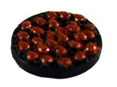Rot Scarab Swarm (D&DC37)